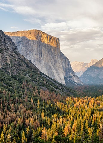 A tree lined mountain range